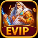 EVIP APK icon