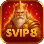 SVIP8 APK icon